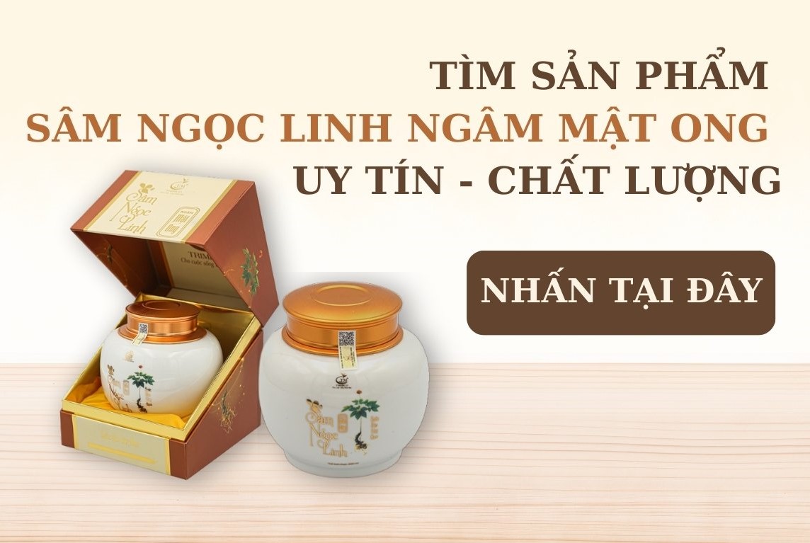 Tiểu đường có uống được sâm Ngọc Linh ngâm mật ong không